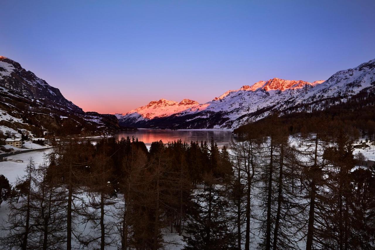 Maloja Palace Residence Engadin-St Moritz Co2-Neutral Exteriér fotografie